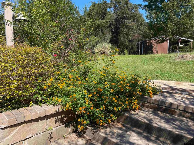 2542 CR 317, Tyler, TX 75706