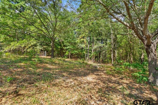 2542 CR 317, Tyler, TX 75706