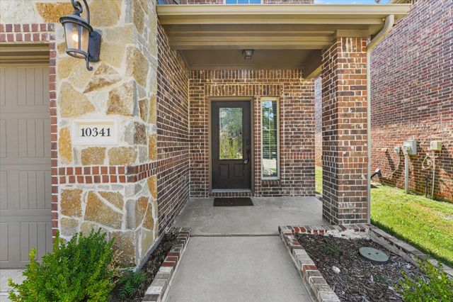 10341 Big Sandy Court, Mckinney, TX 75071