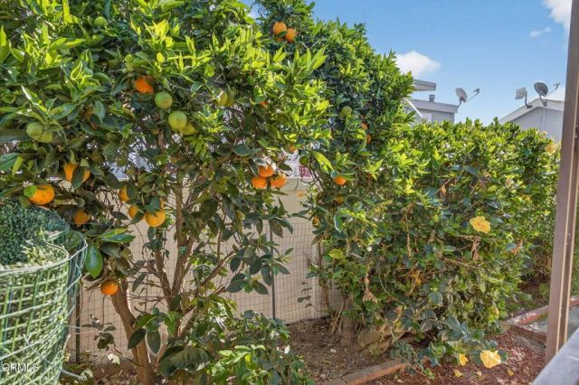 226 Youmans 226, Ventura, CA 93003