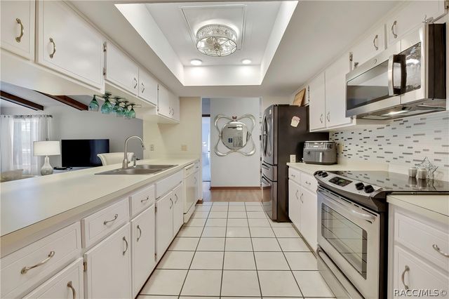 22 Wild Olive Court, Homosassa, FL 34446