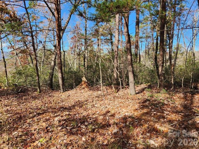 0 Sparrows Way 46, Lake Lure, NC 28746