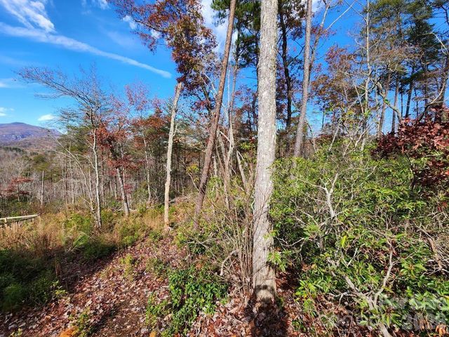 0 Sparrows Way 46, Lake Lure, NC 28746