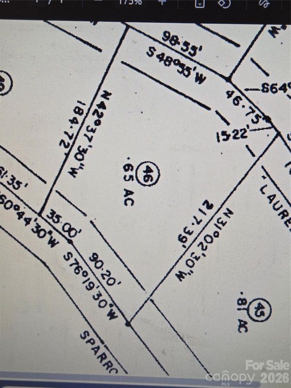 0 Sparrows Way 46, Lake Lure, NC 28746