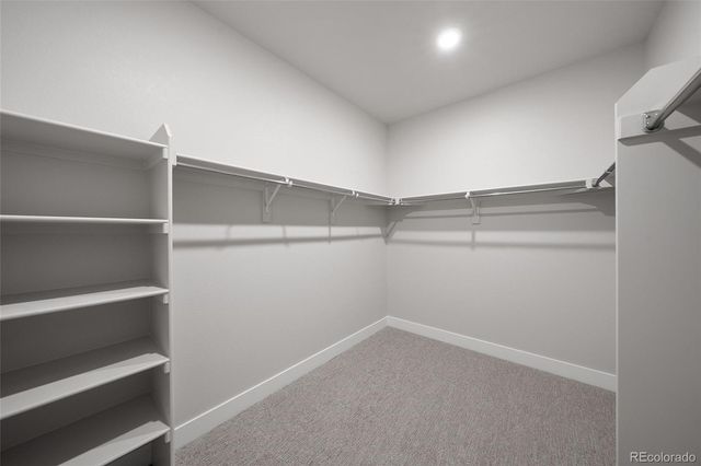 8652 Whiteclover Street, Littleton, CO 80125