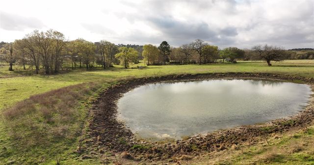 20136 Moriarty Road, Richards, TX 77873