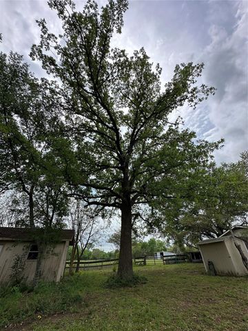 20136 Moriarty Road, Richards, TX 77873