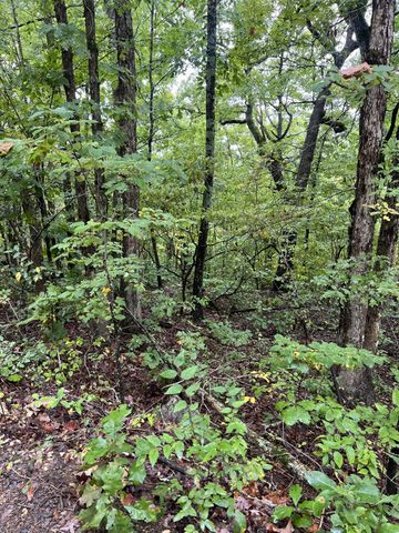 Lot 7 Needles Eye Trail, Mammoth Spring, AR 72554