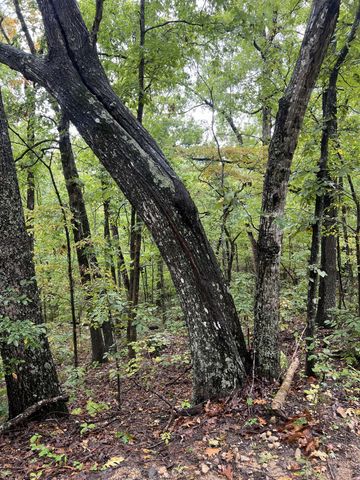 Lot 7 Needles Eye Trail, Mammoth Spring, AR 72554
