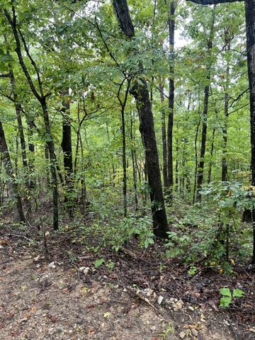 Lot 7 Needles Eye Trail, Mammoth Spring, AR 72554
