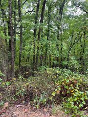Lot 7 Needles Eye Trail, Mammoth Spring, AR 72554