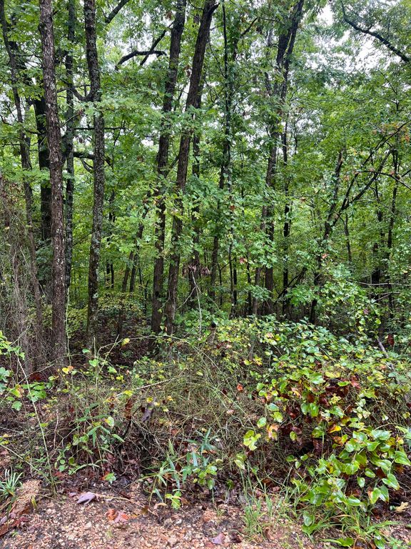 Lot 7 Needles Eye Trail, Mammoth Spring, AR 72554