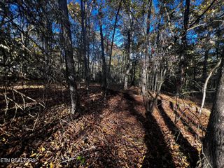 1320 Black Cloud Drive, Crossville, TN 38572