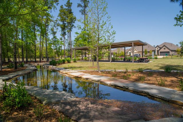 438 Lake Day Drive, Conroe, TX 77304