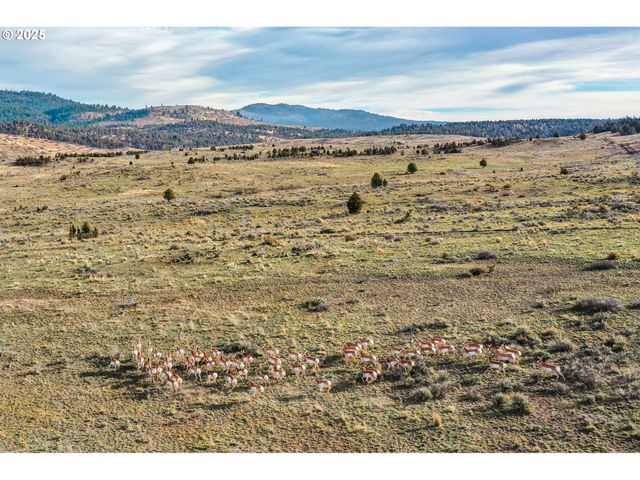 28000 Se PAULINA Hwy, Prineville, OR 97754