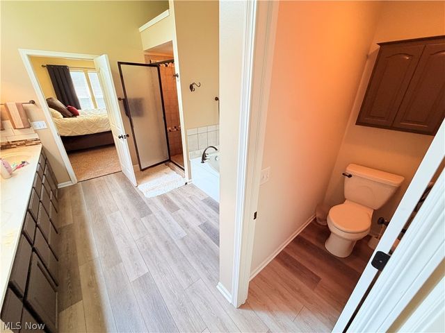 3676 Truxton Place, Avon, OH 44011
