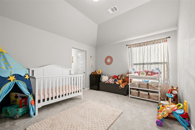 2812 Adon Springs Lane, Celina, TX 75009