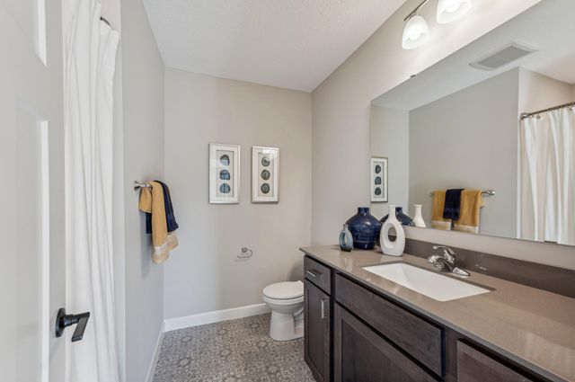 807 Walnut Grove Lane, Hanover, MN 55341