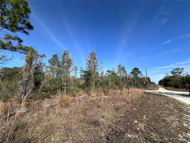 tbd NE 117TH TERRACE, Williston, FL 32696