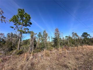 tbd NE 117TH TERRACE, Williston, FL 32696