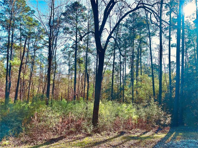 23 Wentworth Ln, Coldspring, TX 77331