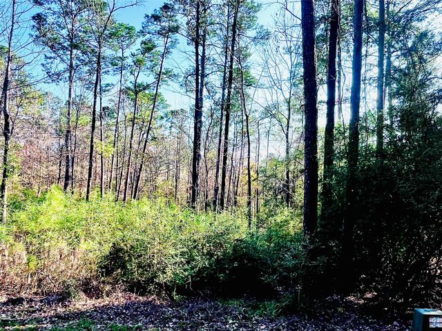 23 Wentworth Ln, Coldspring, TX 77331