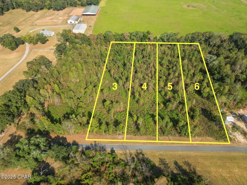Parcel 5 1st Avenue, Graceville, FL 32440