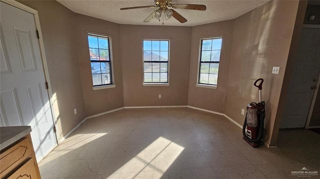 1208 E Camelia Avenue, Hidalgo, TX 78557