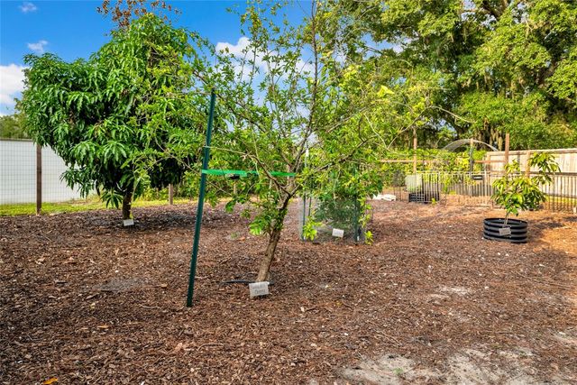 3440 CRENSHAW LAKE ROAD, Lutz, FL 33548