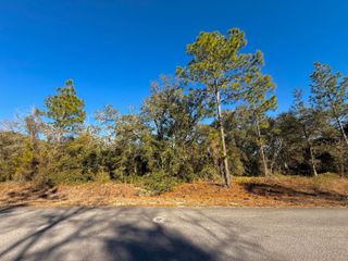 Tbd Lot 35 SW Lobelia Court, Dunnellon, FL 34431