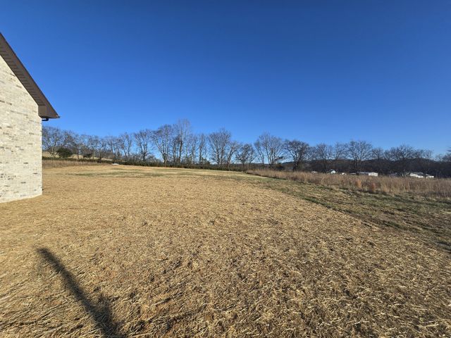 116 Dandelion Ln, Beechgrove, TN 37018