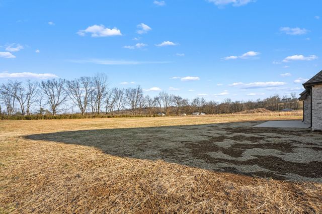 116 Dandelion Ln, Beechgrove, TN 37018
