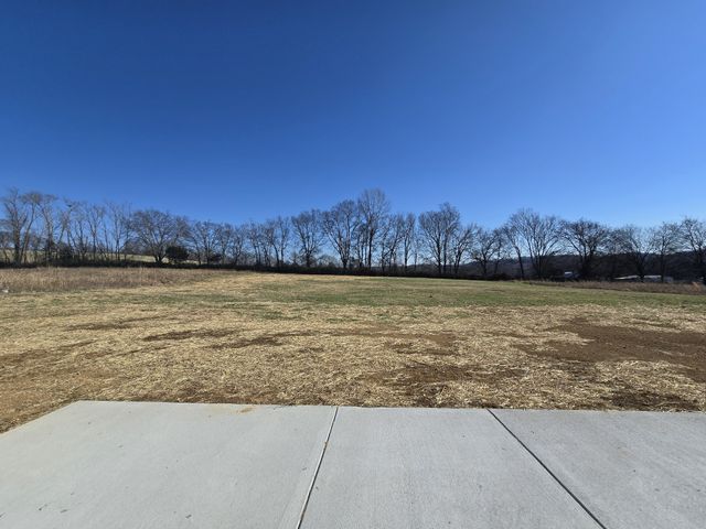 116 Dandelion Ln, Beechgrove, TN 37018