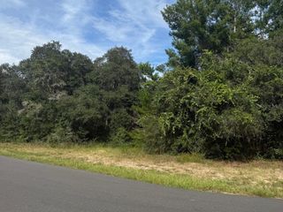 1721 E COLFAX LANE, Hernando, FL 34442