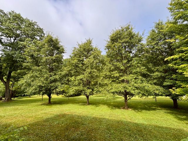 225 Maple Ridge Street, Crittenden, KY 41030