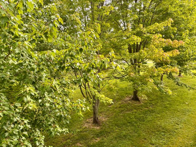 225 Maple Ridge Street, Crittenden, KY 41030
