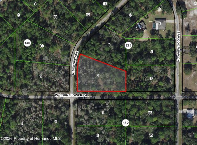 9474 N Bonsai Avenue, Crystal River, FL 34428