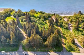 32775 Shorebird Lane, Anchor Point, AK 99556