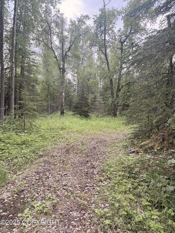 A017 S Blarney Circle, Wasilla, AK 99623