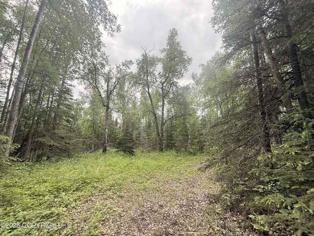 A017 S Blarney Circle, Wasilla, AK 99623