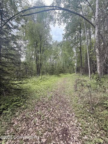 A017 S Blarney Circle, Wasilla, AK 99623