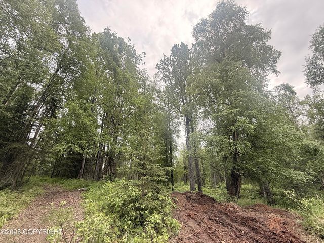 A017 S Blarney Circle, Wasilla, AK 99623