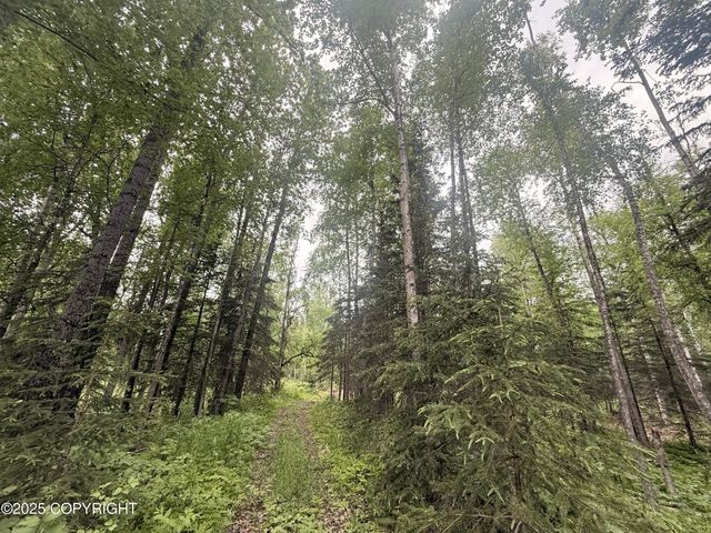 A017 S Blarney Circle, Wasilla, AK 99623