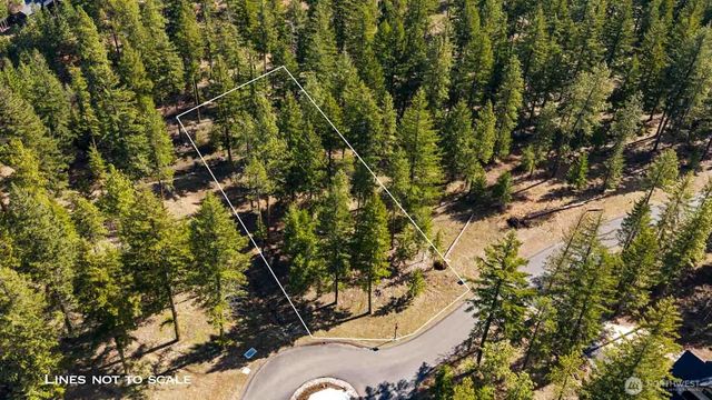 60 Wanawish Loop, Cle Elum, WA 98922