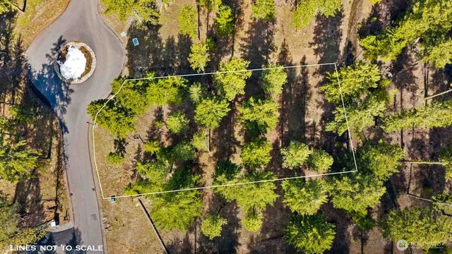 60 Wanawish Loop, Cle Elum, WA 98922