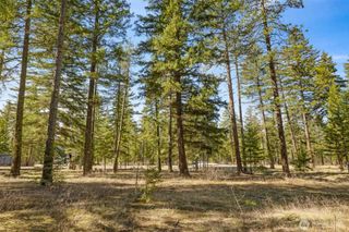 60 Wanawish Loop, Cle Elum, WA 98922