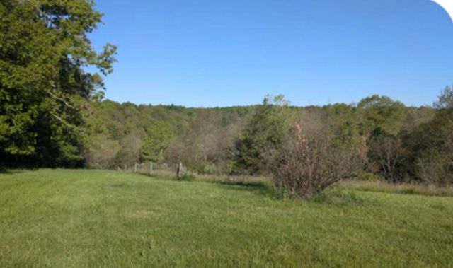 1874 Ogden Ridge Road, Mount Olivet, KY 41064