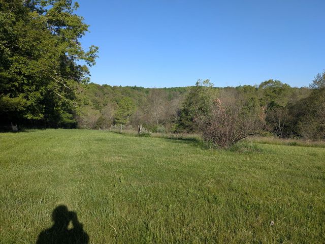 1874 Ogden Ridge Road, Mount Olivet, KY 41064