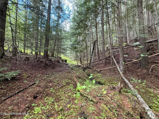 1605 Crystal Peak Rd, Fernwood, ID 83830