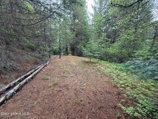 1605 Crystal Peak Rd, Fernwood, ID 83830
